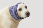 Cat Hematoma Ear Wrap,Noise Cancelling Calming Anxiety & Stress Relief - Ear Cover for cat Purple S - Image 12