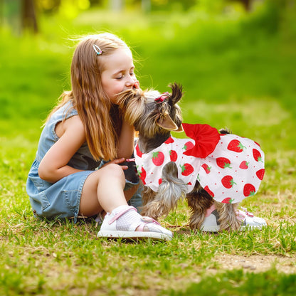 BAOBICUTE puppy princess bowknot outfits displayed in a pack of five styles