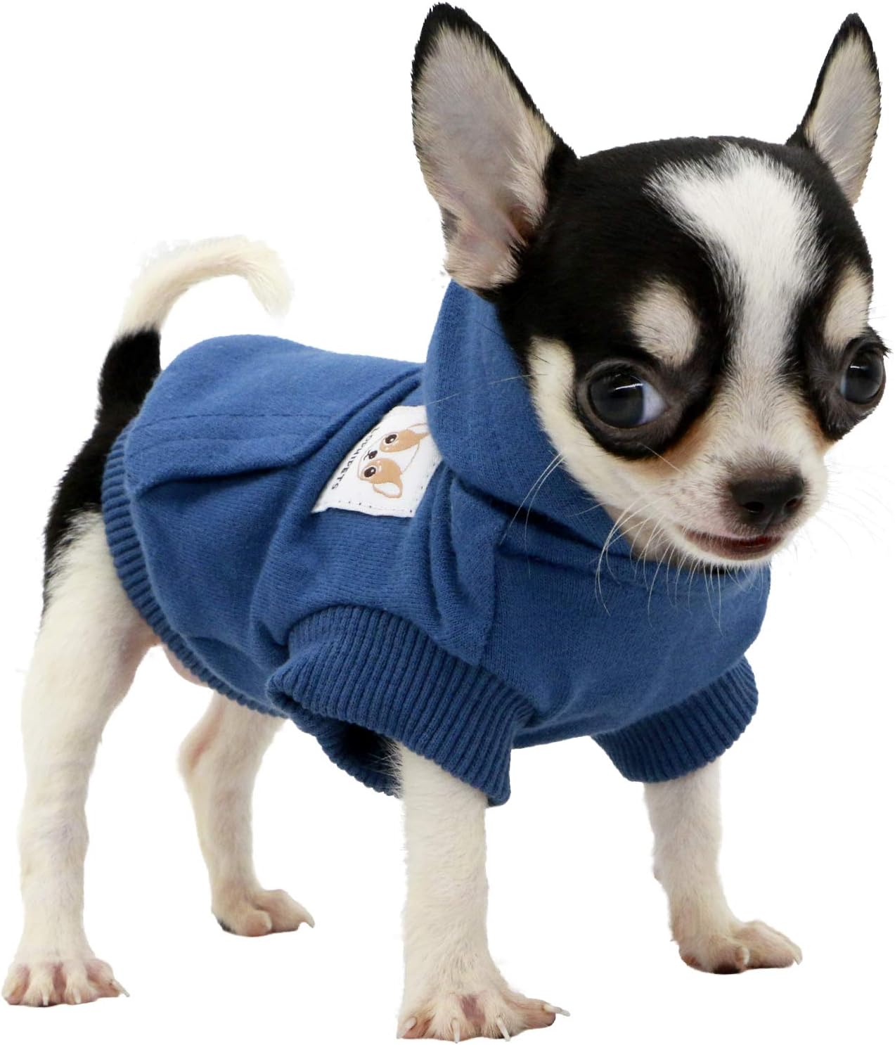 LOPHIPETS Dog Cotton Hoodies Sweatshirts for Small Dogs Chihuahua Puppy Clothes Cold Weather Coat-Cambridge Blue/XXS - Image 13