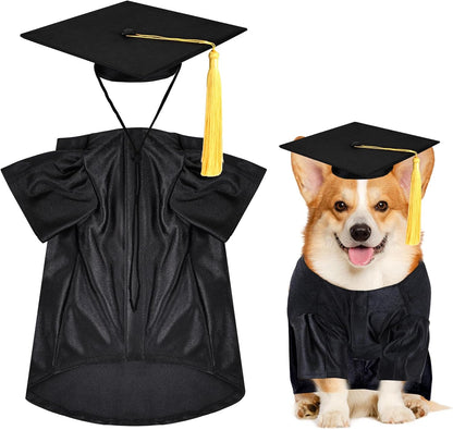 MORFORU dog graduation cap and gown small set front view on a pet