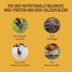 Hatortempt 5lb bag nutritional breakdown label for backyard chickens