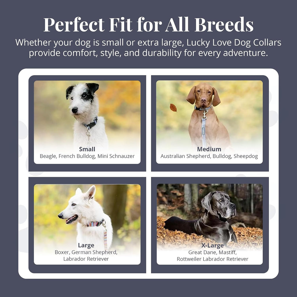 Safe escape proof martingale collar for male and female dogs medium size.