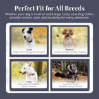 Safe escape proof martingale collar for male and female dogs medium size.
