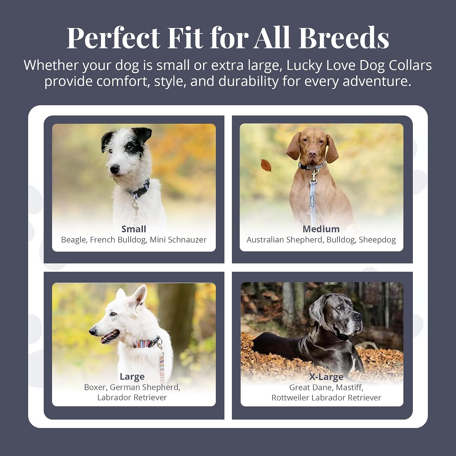Safe escape proof martingale collar for male and female dogs medium size.