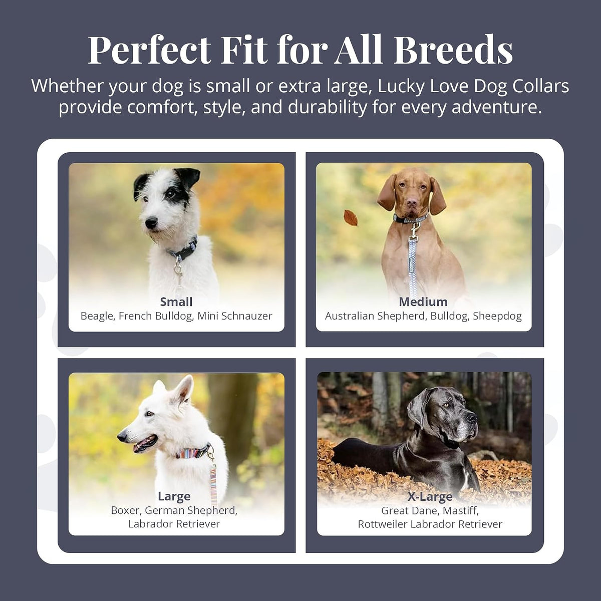 Safe escape proof martingale collar for male and female dogs medium size.