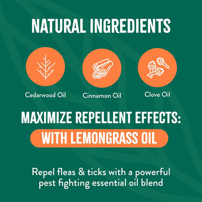 TropiClean Natural Maximum Strength Flea and Tick Spray for Dogs and Home, 32oz - Image 5