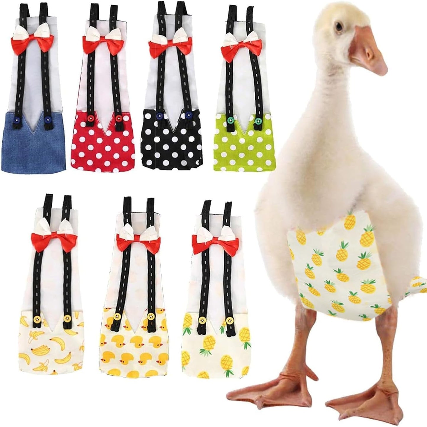 QBLEEV indoor chicken diaper sizing strap demonstration