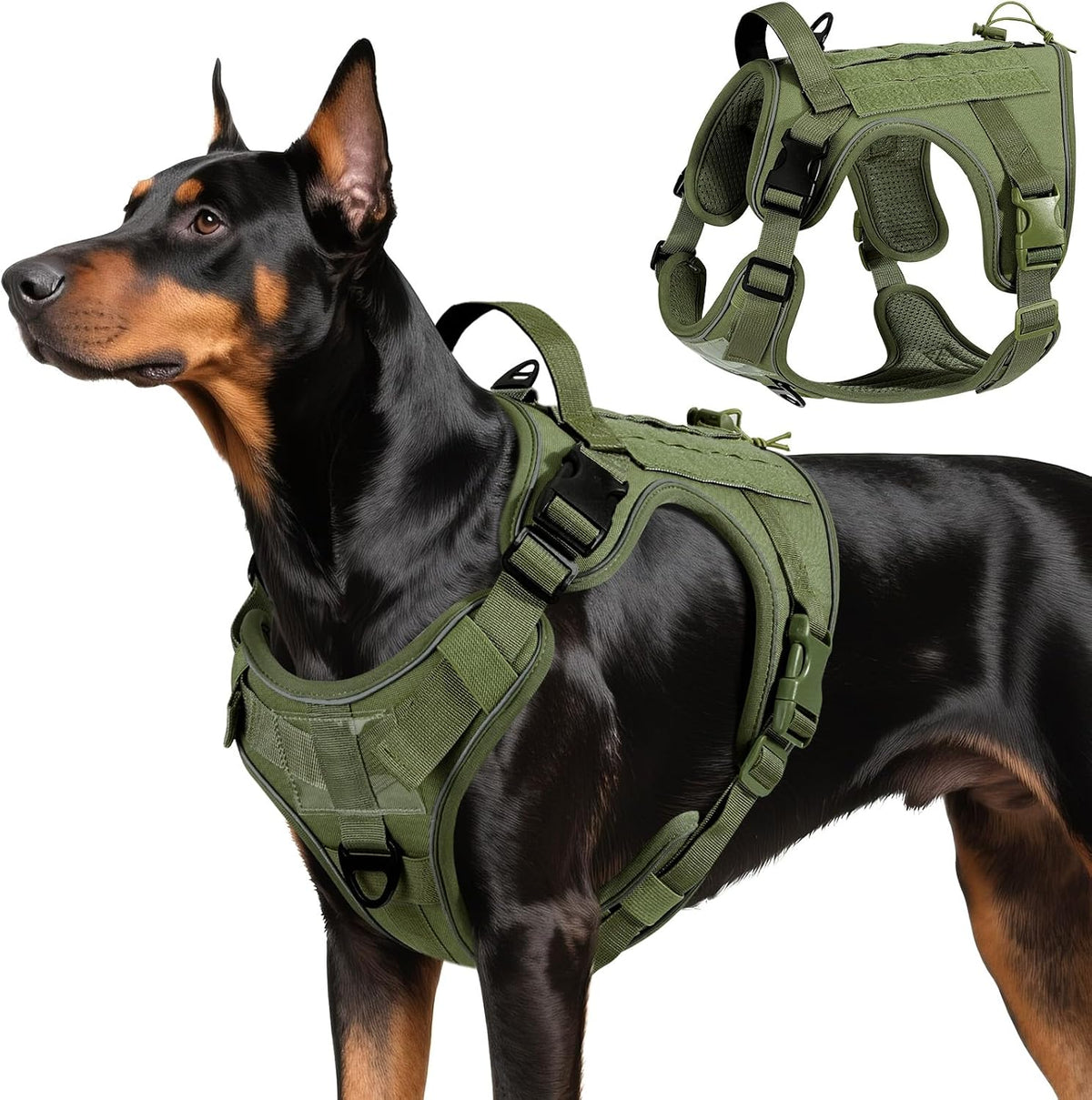 Size guide for VavoPaw dog car safety vest