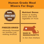 Close up of Whole Life Pet human grade freeze dried dog food ingredients