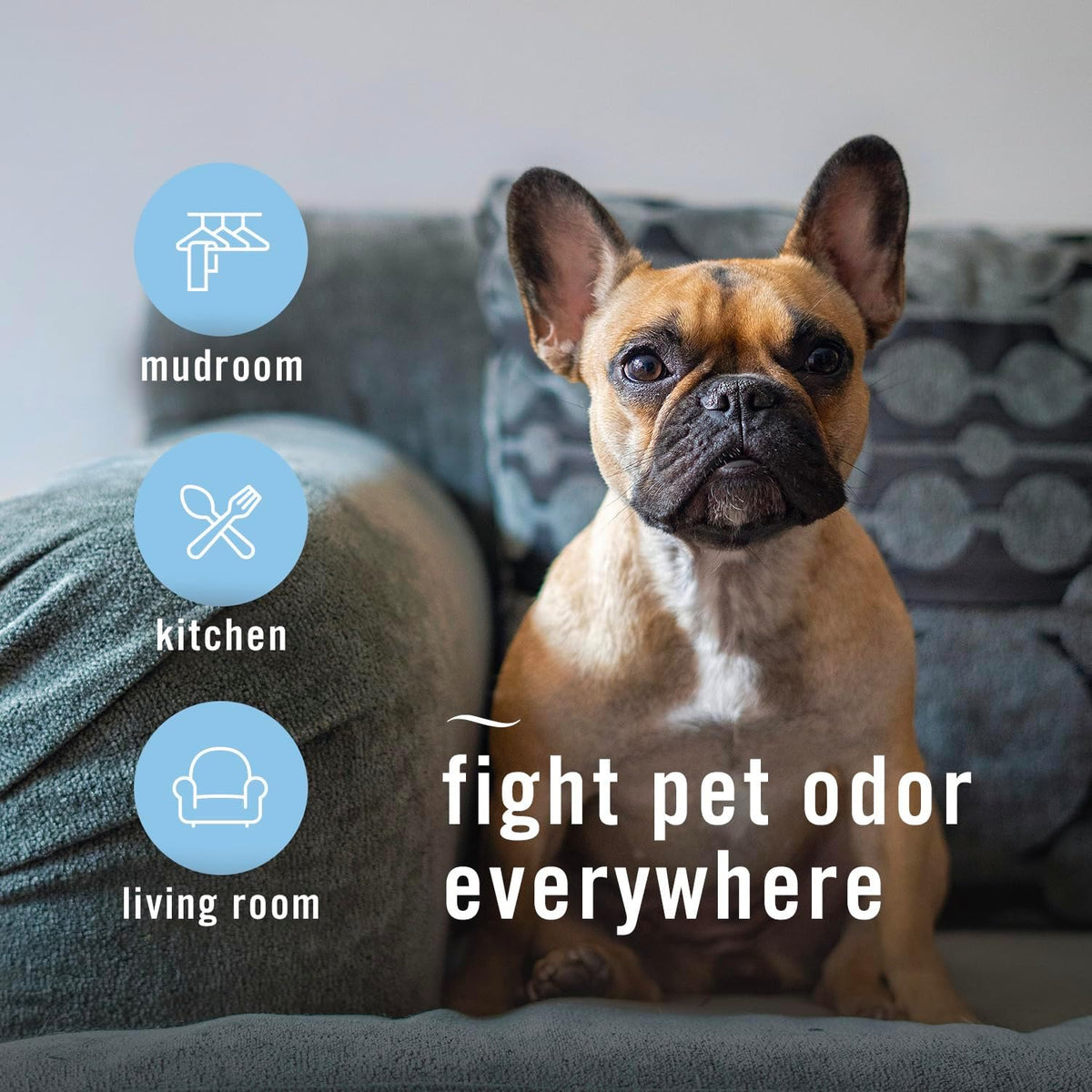 Febreze multi room pet odor neutralizing spray for Indian homes