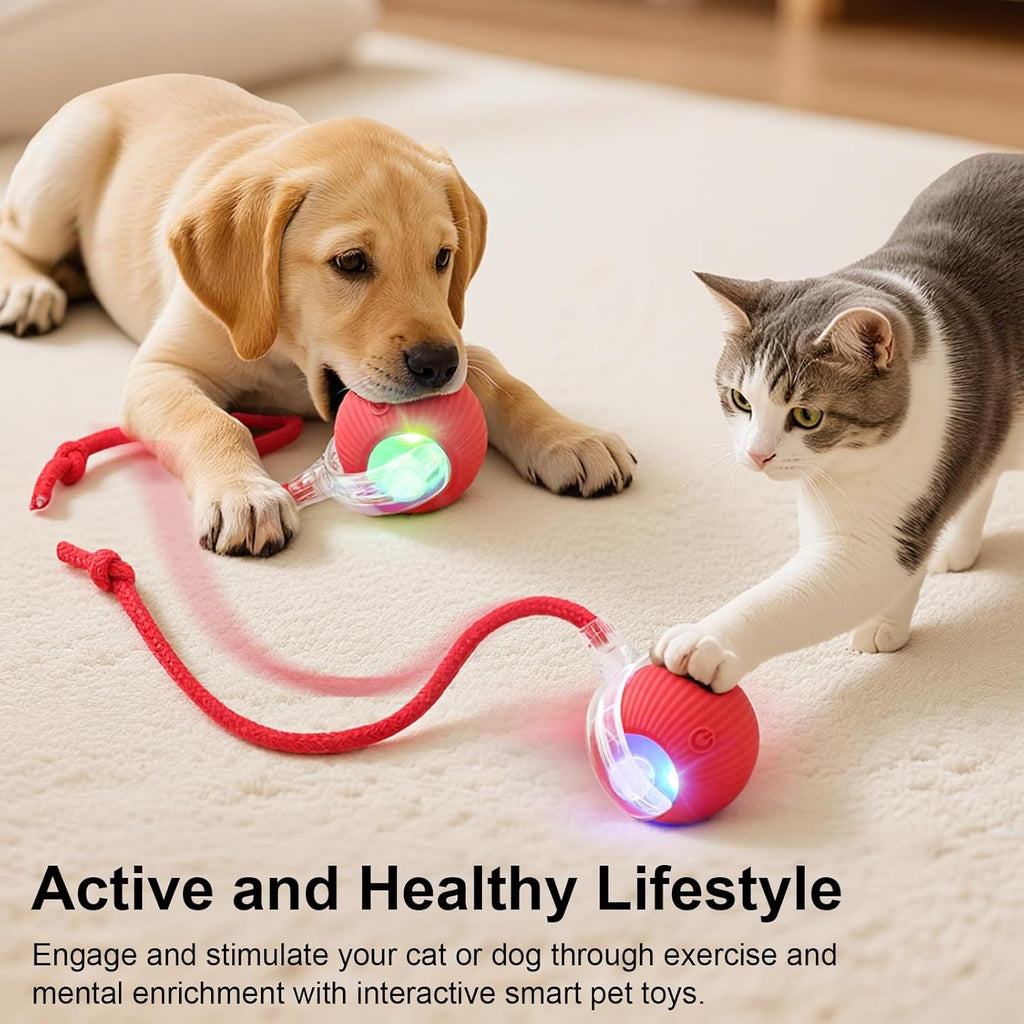 SilveWillo red automatic rolling ball for cats and dogs