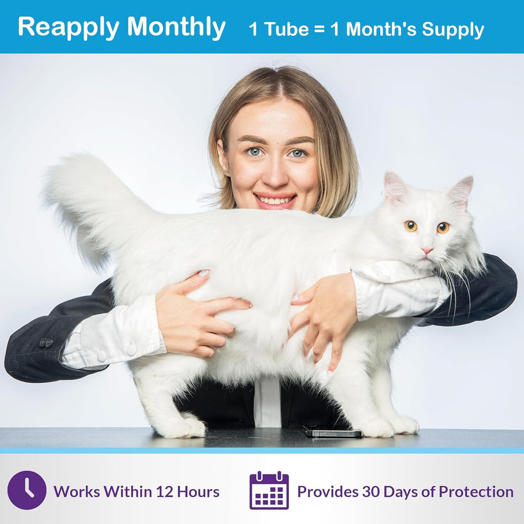Waterproof flea and tick spot on for large cats instructions graphic detailing proper shoulder application