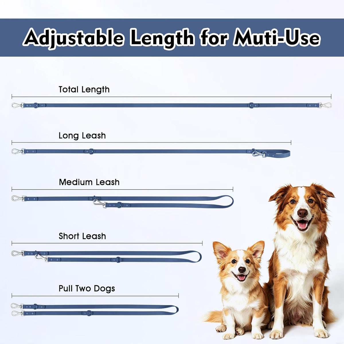 Close up of rustproof metal hardware on Wisedog leash