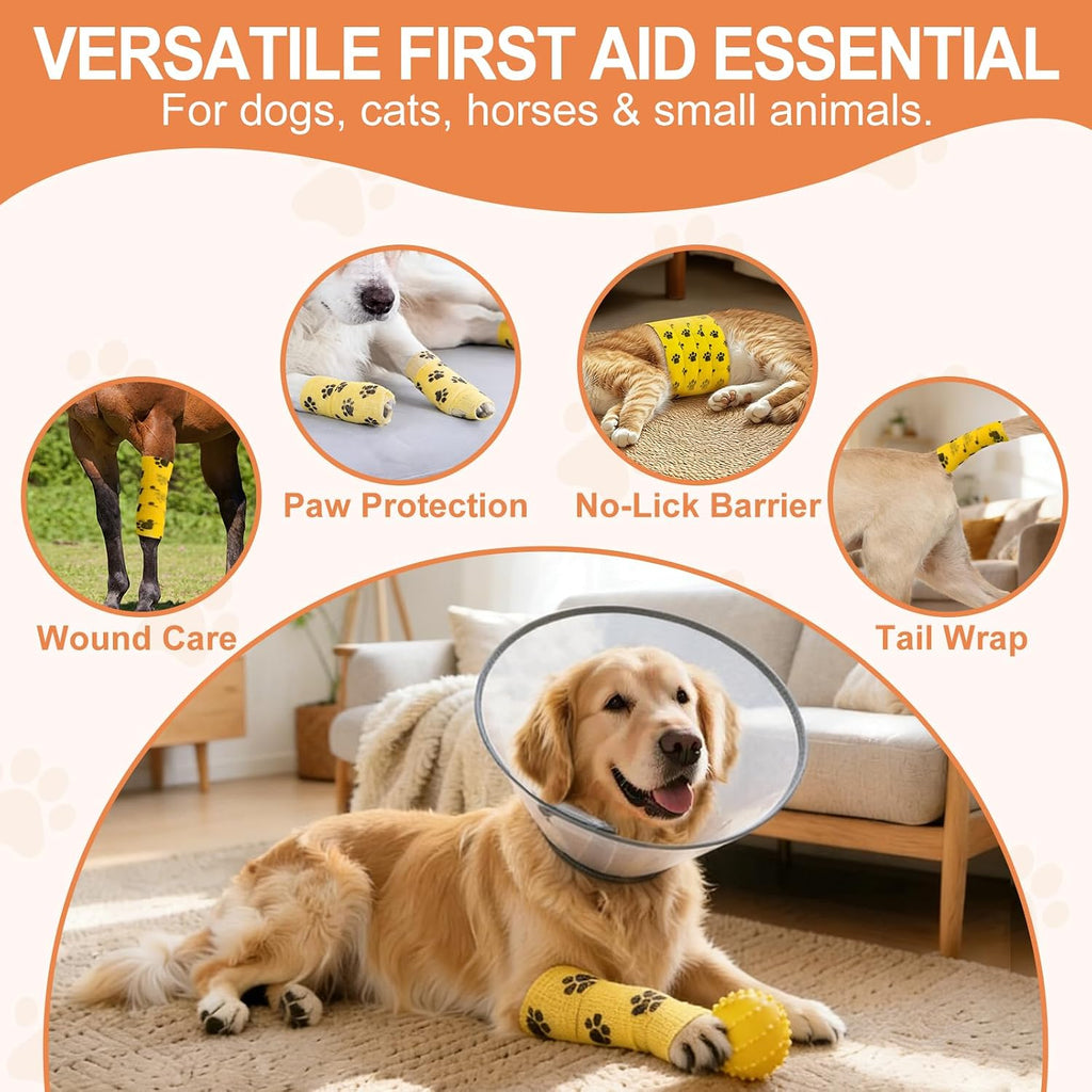 Avinli self adhesive bandage applied to a dog paw for wound care