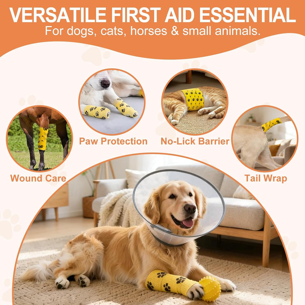 Avinli self adhesive bandage applied to a dog paw for wound care
