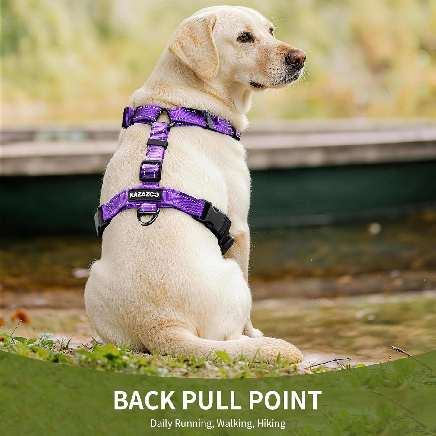 Kazazoo dog harness buckle and metal D-ring detail