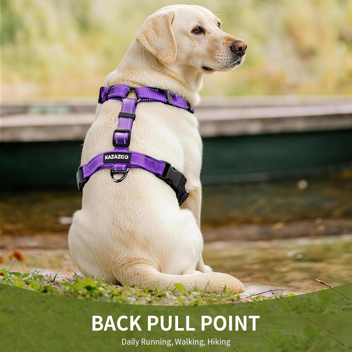 Kazazoo dog harness buckle and metal D-ring detail