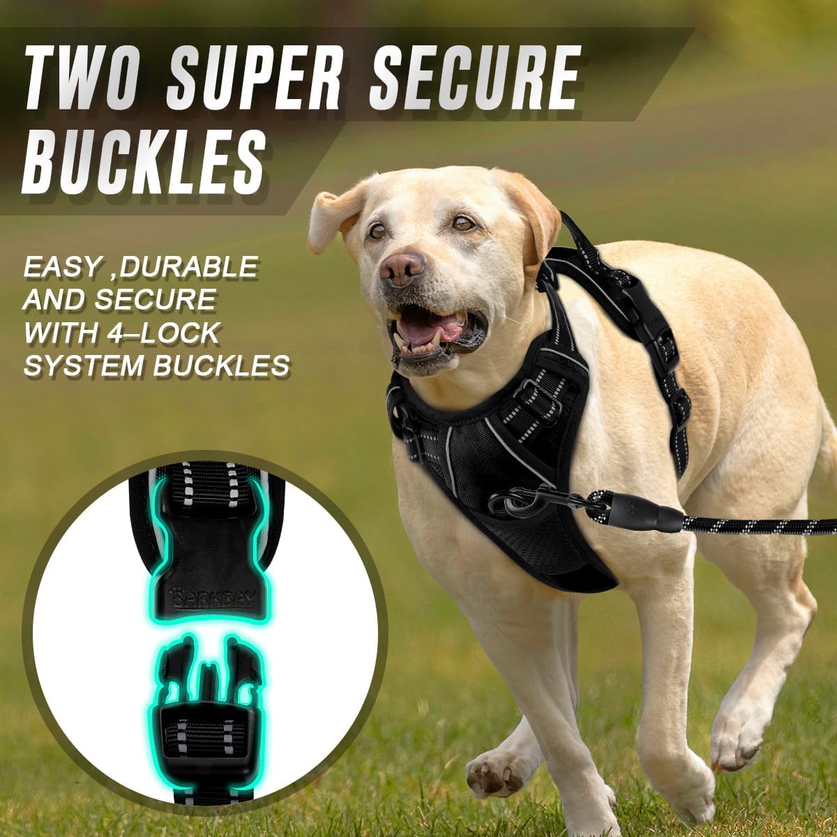 Durable nylon material and padding of barkbay harness