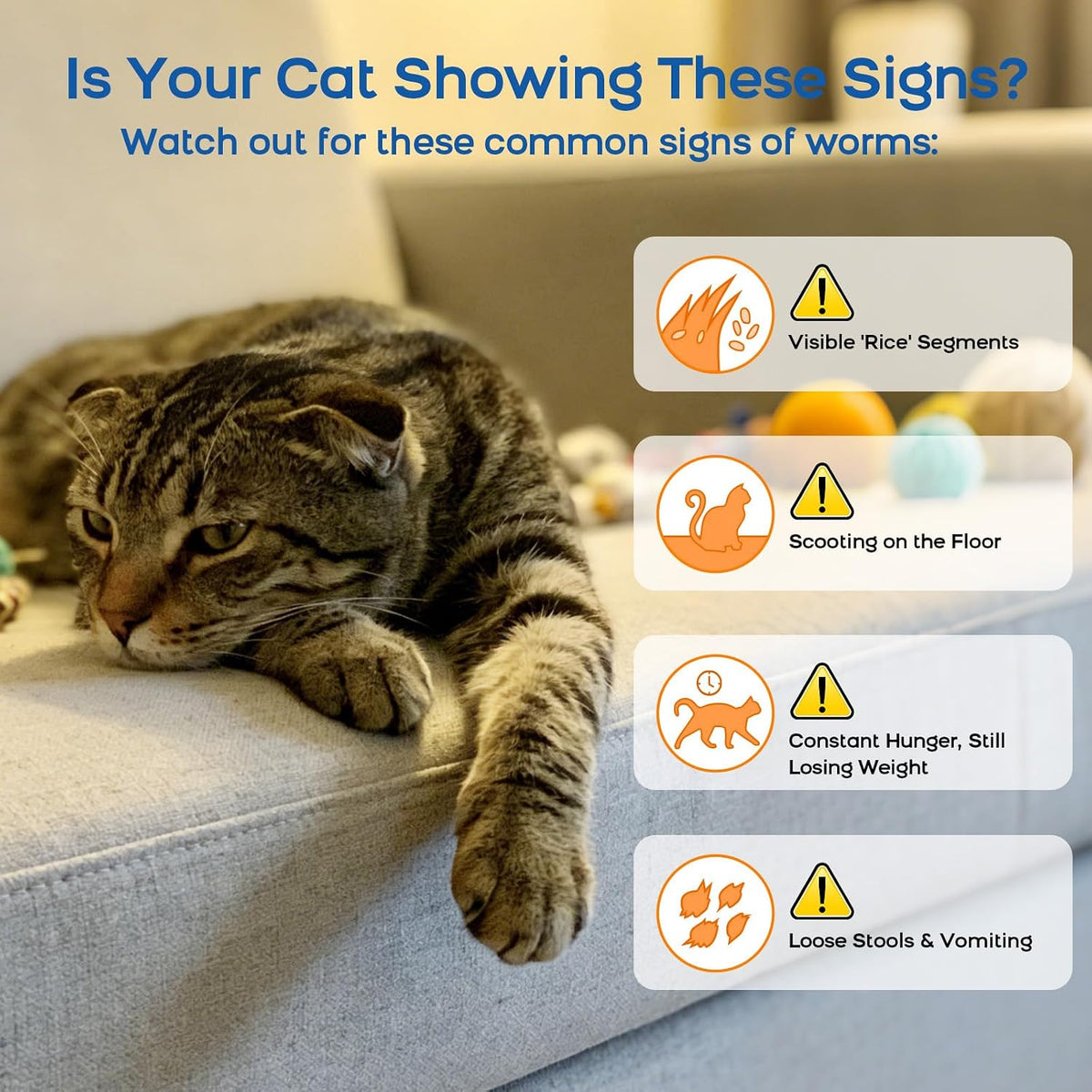 Morvequa cat dewormer packaging displaying dosage chart for cats and kittens between two and sixteen pounds