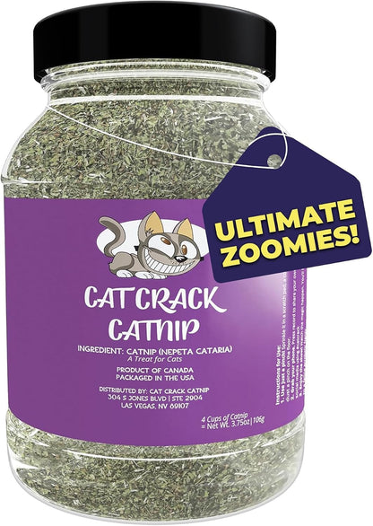 USA imported premium pet care supplies container on a clean background