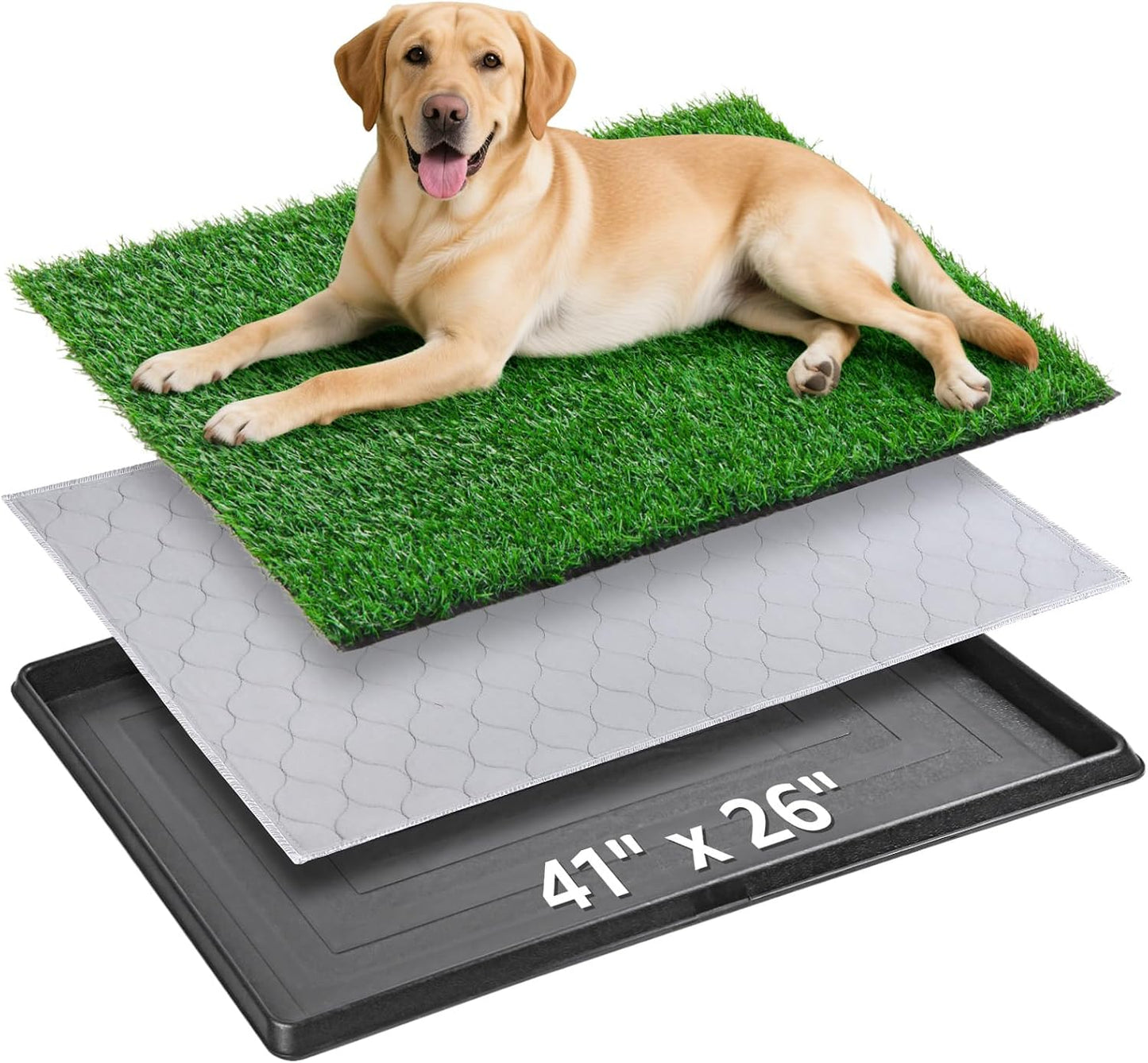 Dog Grass Pet Loo Indoor/Outdoor Portable Potty, Dog Litter Box, Artificial Grass Patch Bathroom Mat and Washable Pee Pad for Puppy Training, Full System with Trays (Pet Training Tray, 20"x16") - Image 9