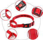 Adjustable escape proof dog collar in vibrant color option close up