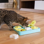Kitten figuring out the sliding blocks on the blue Catstages puzzle toy