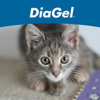 Authentic USA imported Van Beek DiaGel for kitten stomach upset relief showing single use plunger