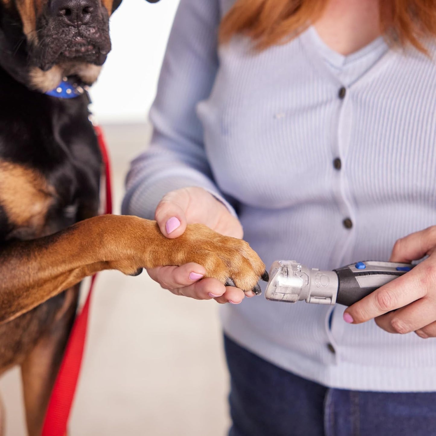 Dremel pet grooming attachment clear cap detail