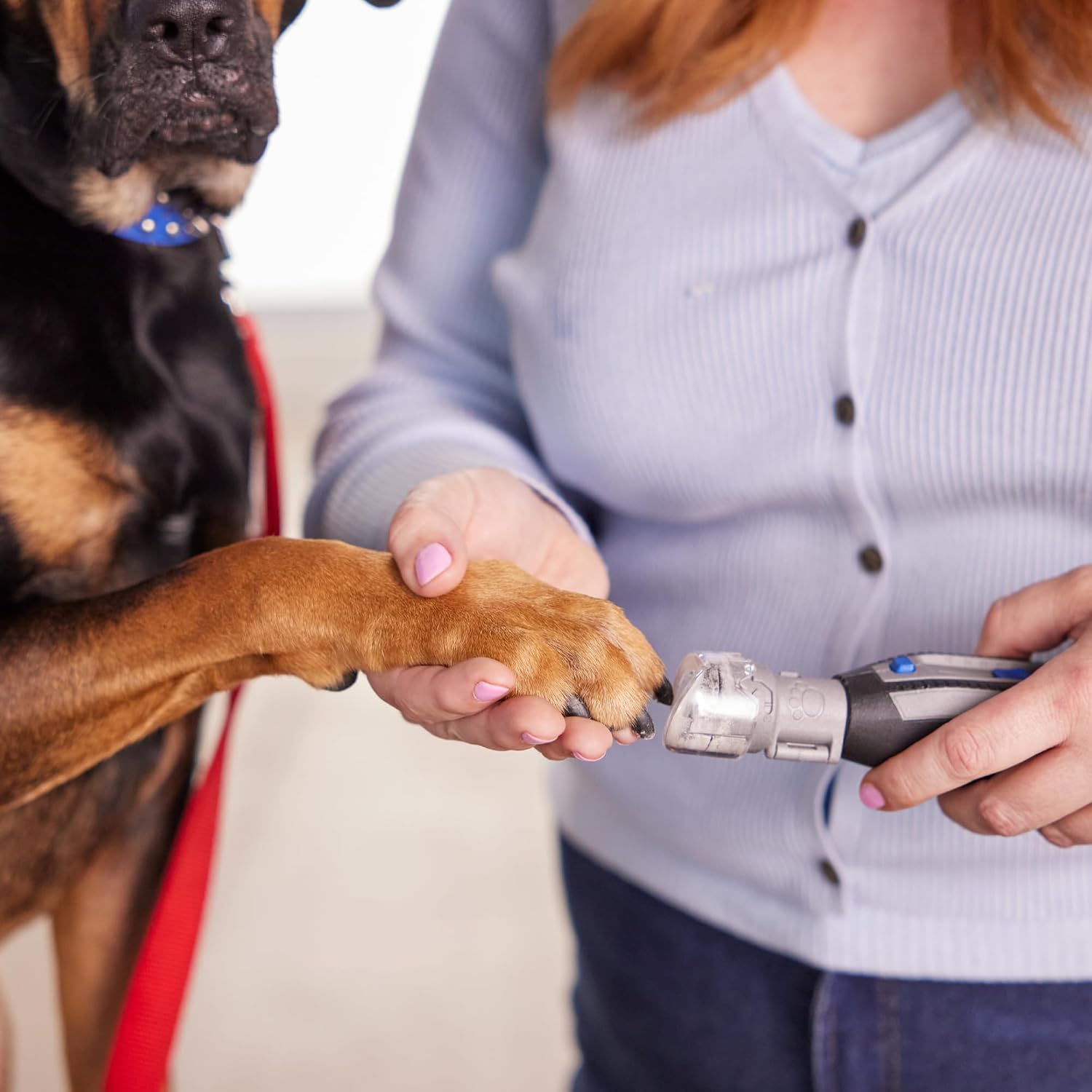 Dremel pet grooming attachment clear cap detail