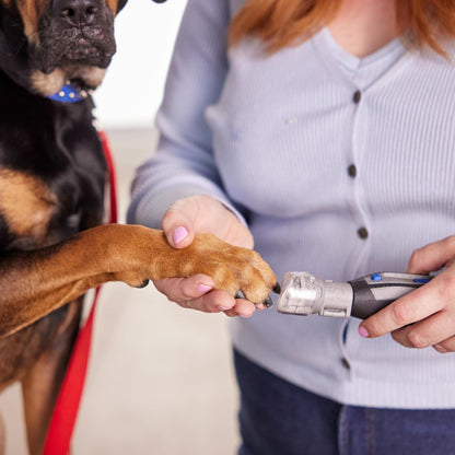 Dremel pet grooming attachment clear cap detail