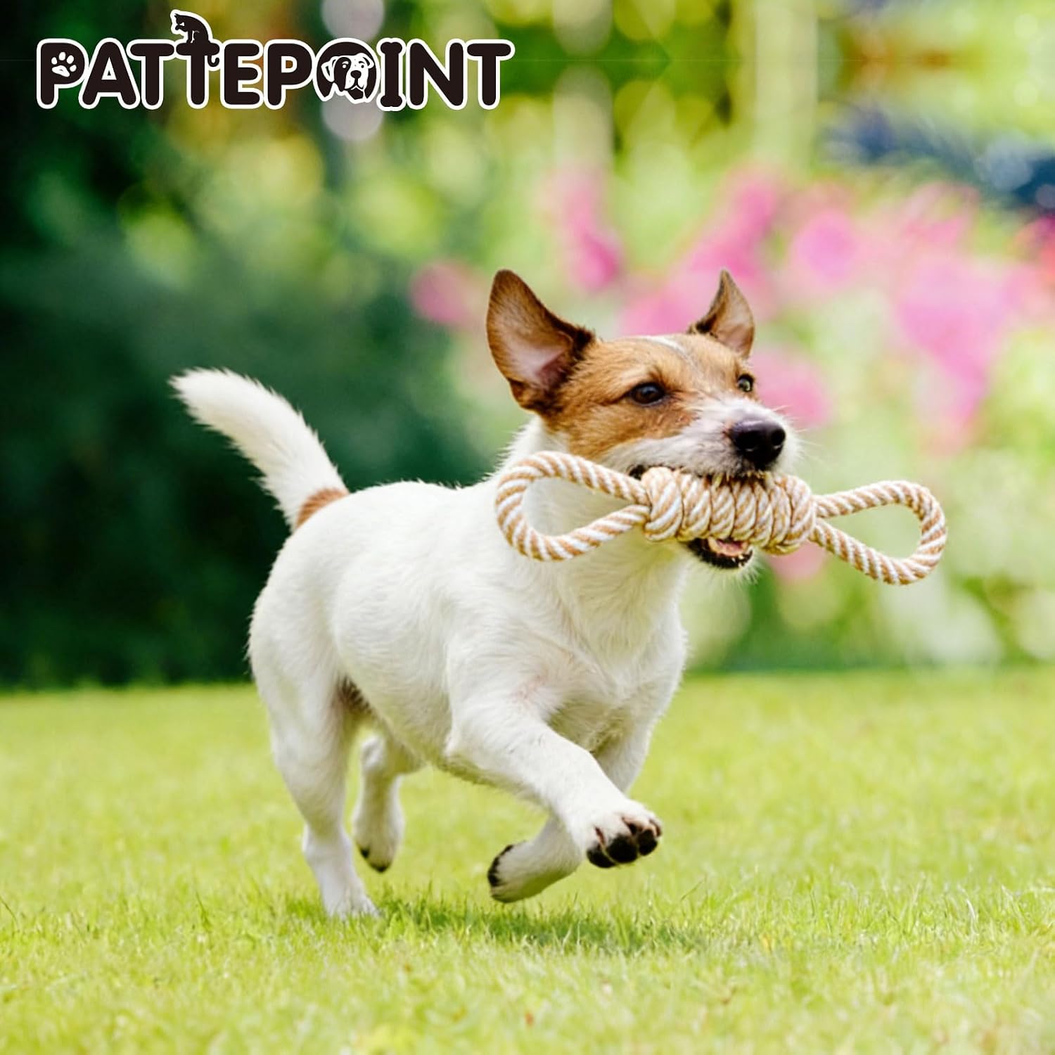 PATTEPOINT 5 pack dog rope bundle for boredom relief and furniture saving chewing habits.