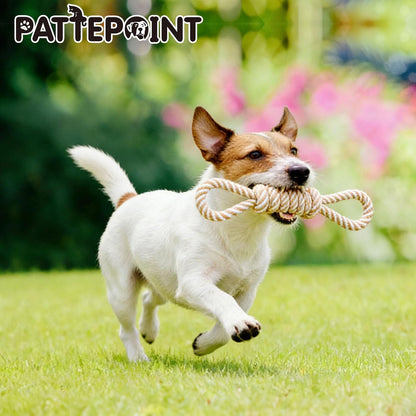 PATTEPOINT 5 pack dog rope bundle for boredom relief and furniture saving chewing habits.