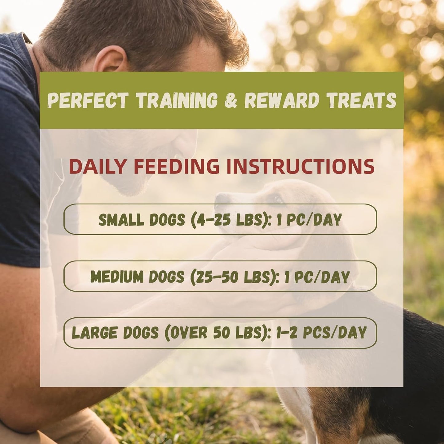 Beloved Pets healthy vegetable and meat dog treats