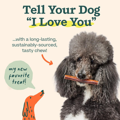 Authentic USA imported WOOF dog products free range beef chews.