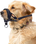 Wintchuk dog head collar black front view