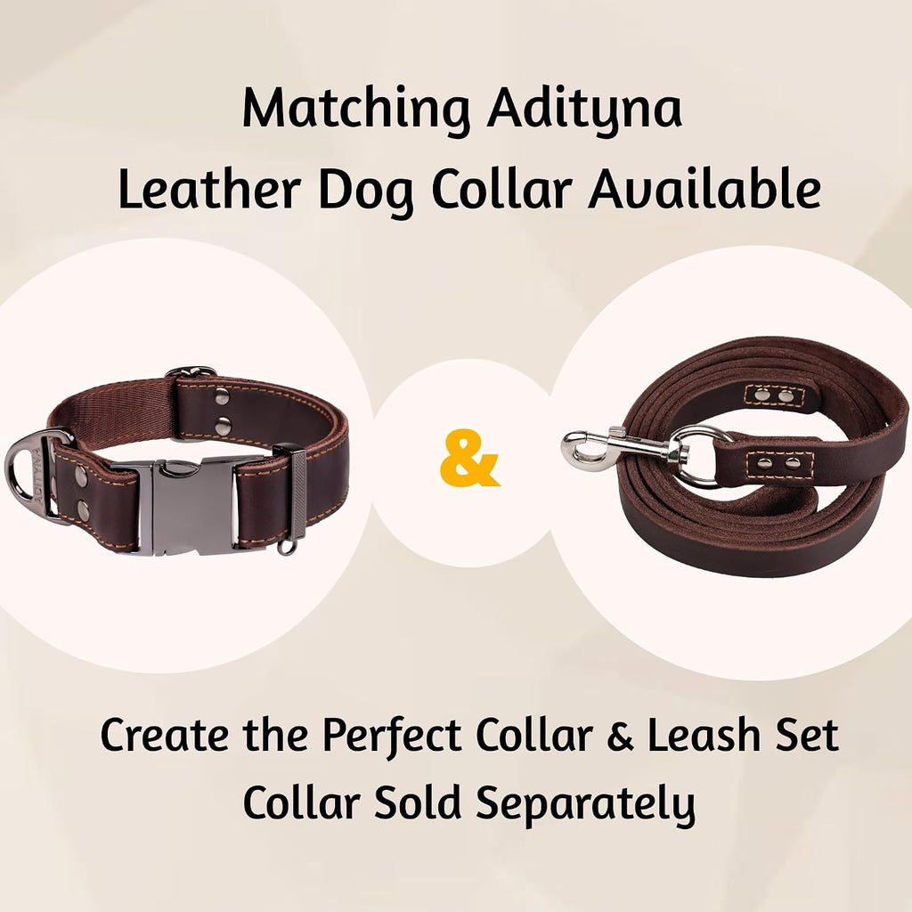 ADITYNA premium leather pet leash neatly coiled inside its high quality gift packaging box.