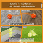 PetDroid automatic dog toy ball for small and medium dogs