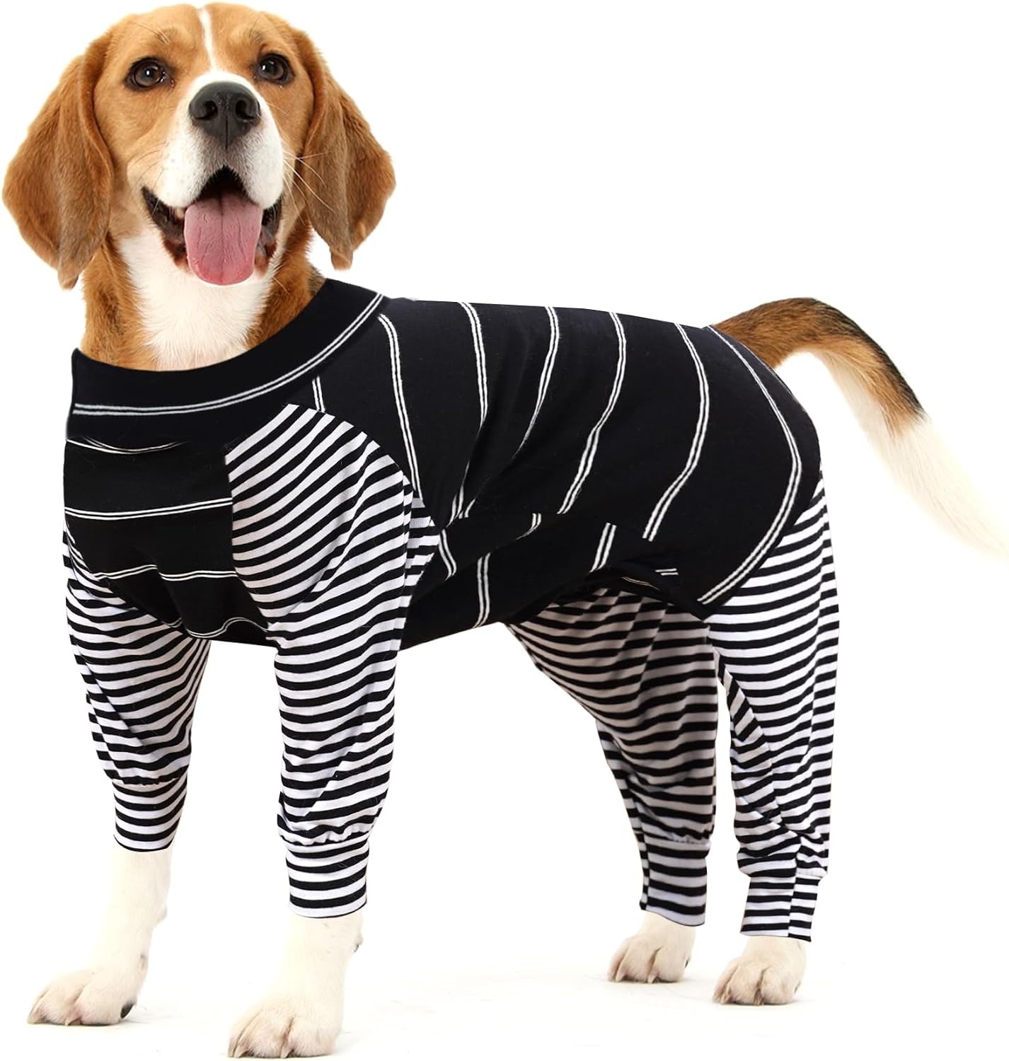Dotoner protective pet bodysuit showing full belly coverage