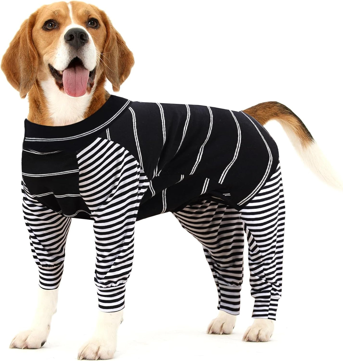Dotoner protective pet bodysuit showing full belly coverage