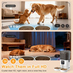 App controlled timed pet feeder with high definition wide angle camera view.
