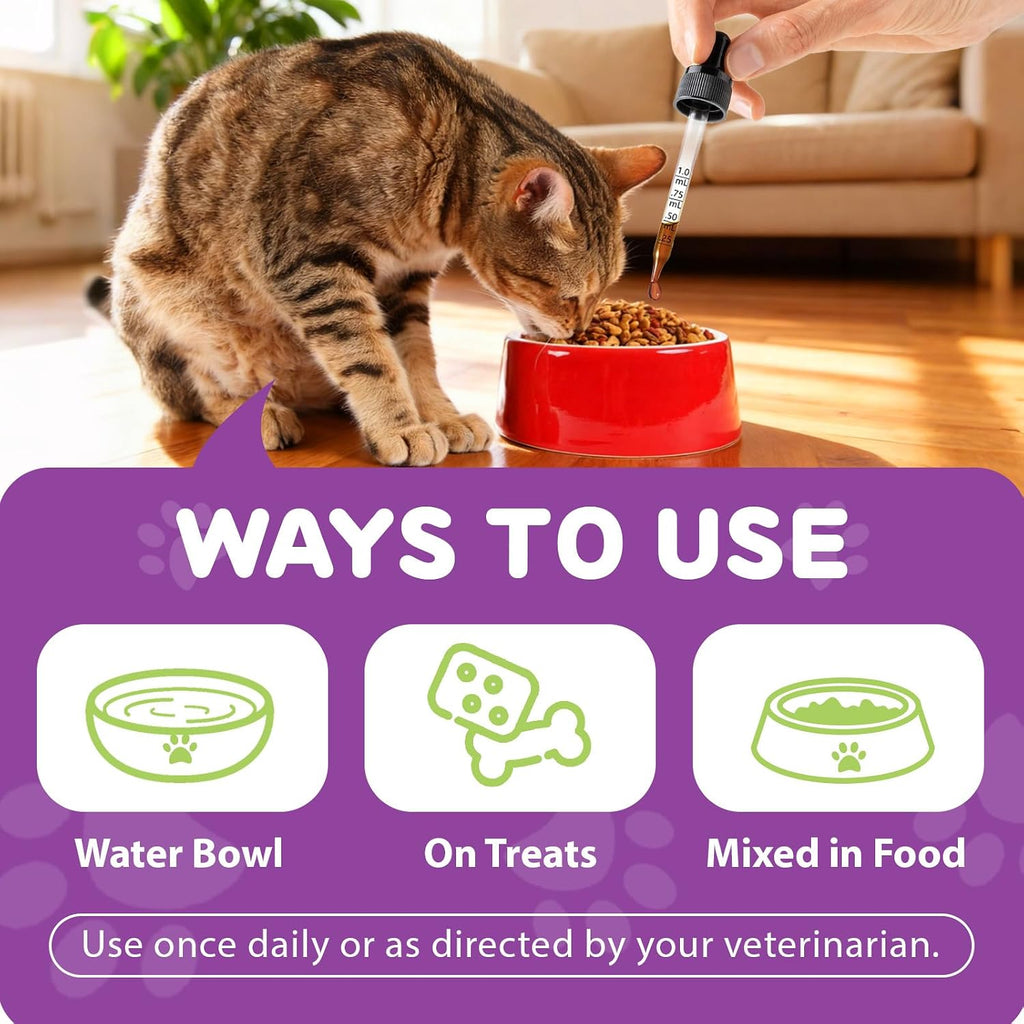 Cat receiving lysine drop supplement in food