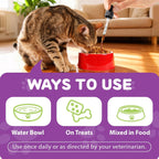 Cat receiving lysine drop supplement in food
