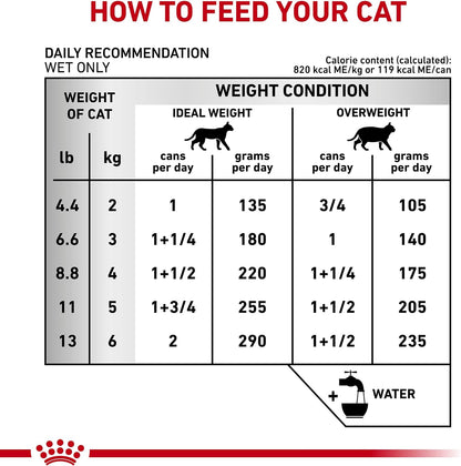 Premium clinical pet supplies showing Royal Canin adult cat canned wet food pack.