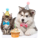 Adjustable elastic strap detail on Satinior pet birthday hat