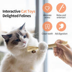 Kitten chewing on safe natural silvervine teething toy