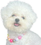 Kepudengen faux pearl dog necklace highlighting the multi colored aesthetic for pet photography