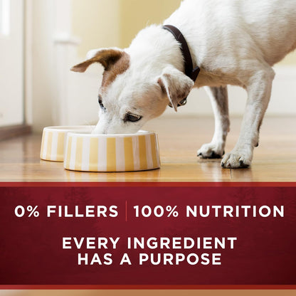 Purina ONE Natural Grain Free Wet Dog Food Variety Pack, True Instinct Classic Ground - 13 Ounce (Pack of 6) - Image 9
