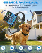 Authentic imported pet containment system packaging layout with all included accessories neatly arranged on a clean surface.
