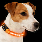 LED Dog Collar for Small Dogs & Toy Breeds - USB-C Rechargeable Light Up Dog Collar, Fully Waterproof Adjustable Glow Collar for Night Walking & Safety(Pink,S) - Image 13